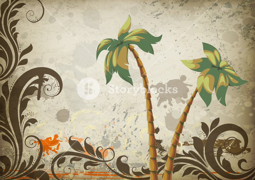 Bordes Y Marcos Decorativos - HD Wallpaper 