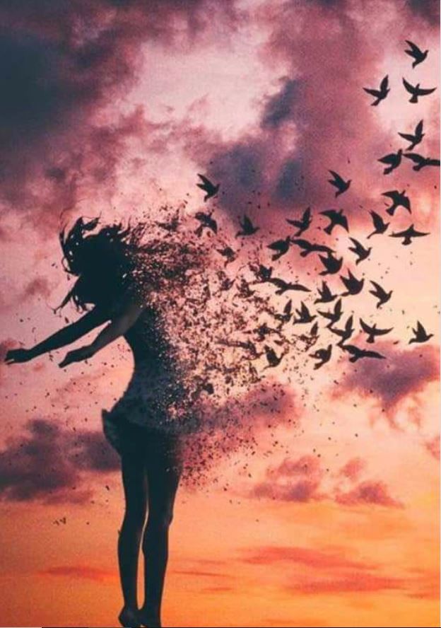 Wild Woman Sisterhood - HD Wallpaper 