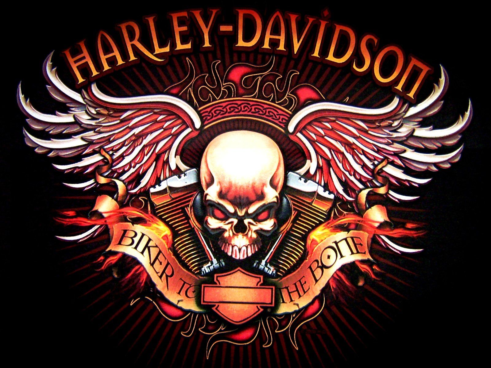 299 Harley Davidson Hd Wallpapers - Harley Davidson Images Download - HD Wallpaper 