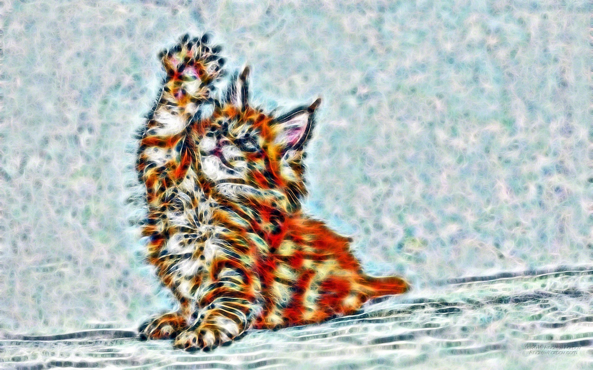 Gambar Bergerak Download - Comma - HD Wallpaper 