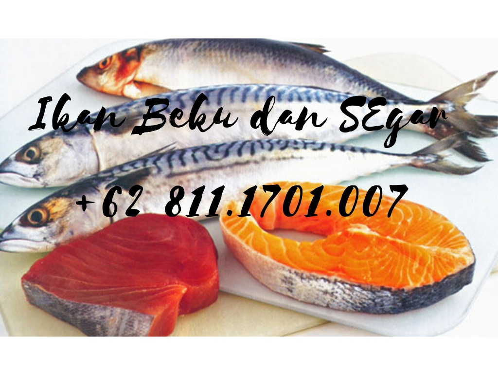 Fish To Increase Blood - HD Wallpaper 