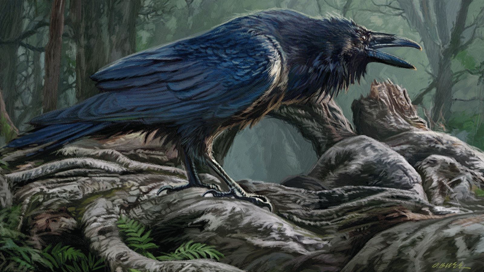 Download Hd Raven Computer Wallpaper Id - Dan Burr Illustrator - HD Wallpaper 