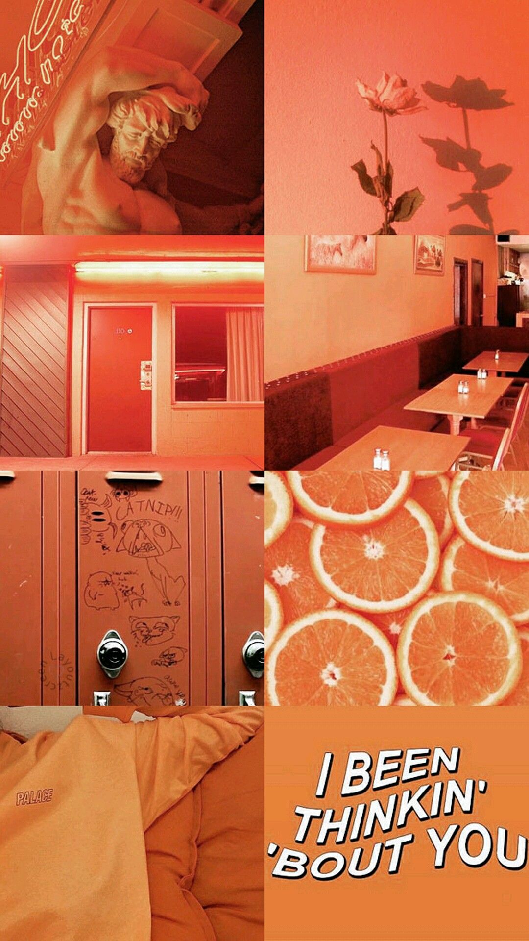 Оранжевые Сохры - HD Wallpaper 