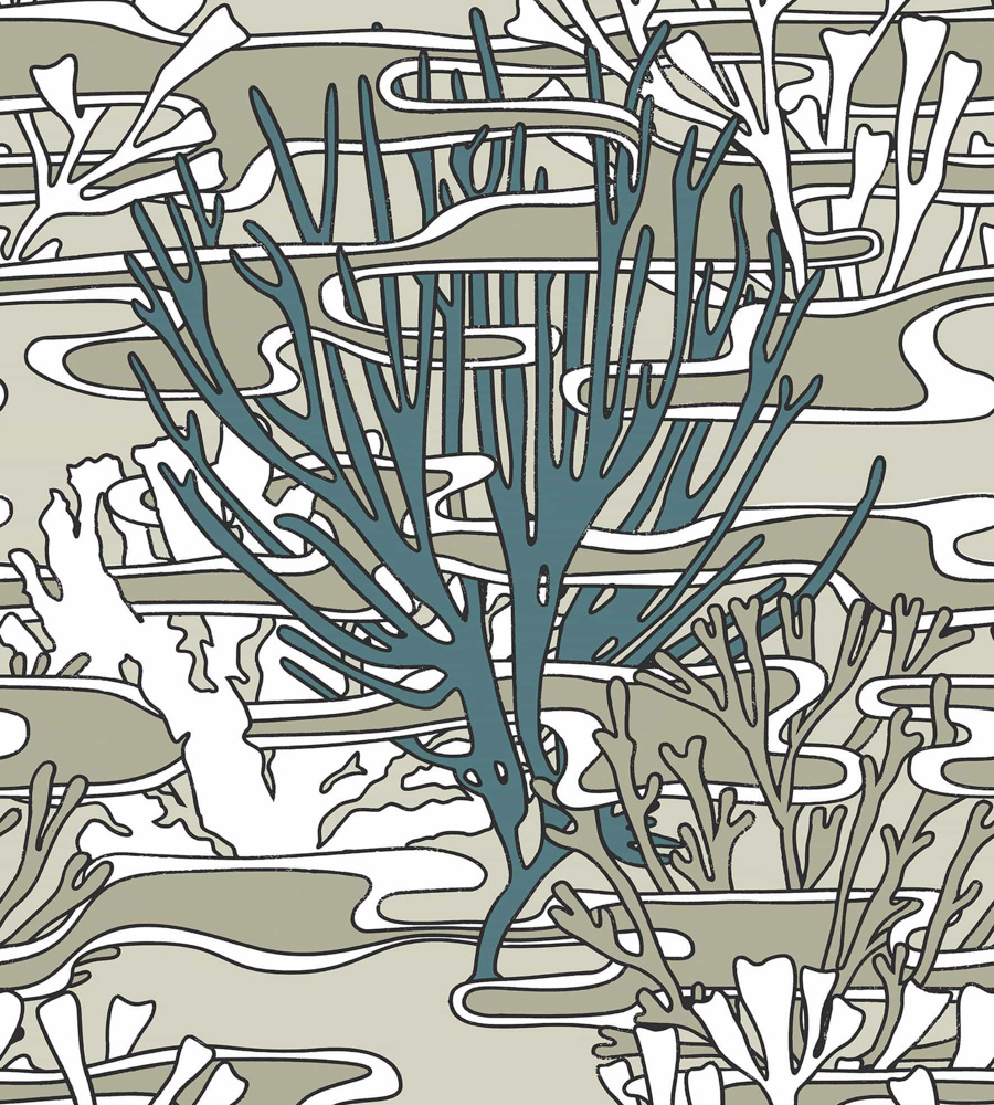 Coringa Nobilis - HD Wallpaper 