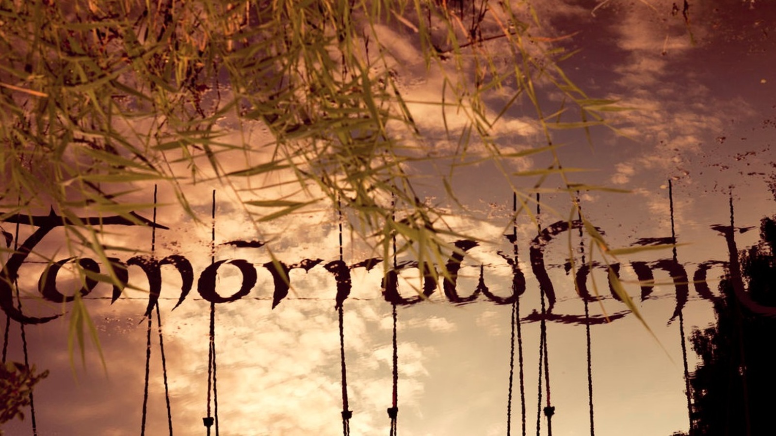 Music Festival Tomorrowland - Tomorrowland Imagenes Full Hd - HD Wallpaper 