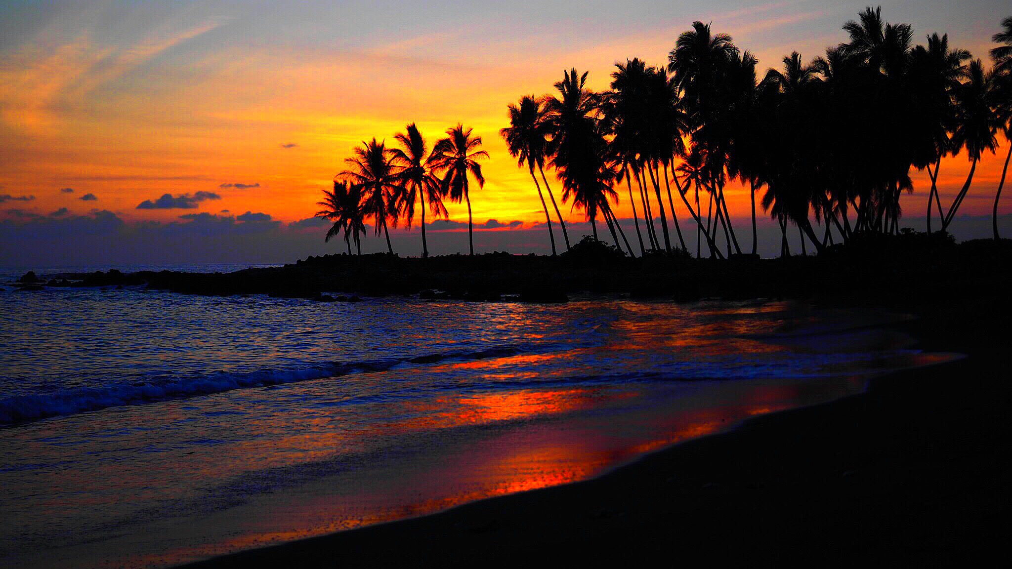 Beach Sunset With Palm Trees - HD Wallpaper 