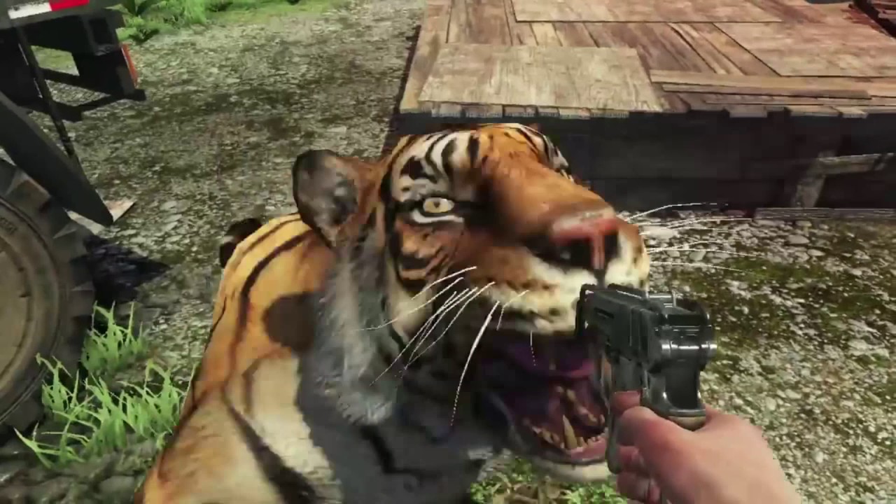 Far Cry 3 Animales - HD Wallpaper 