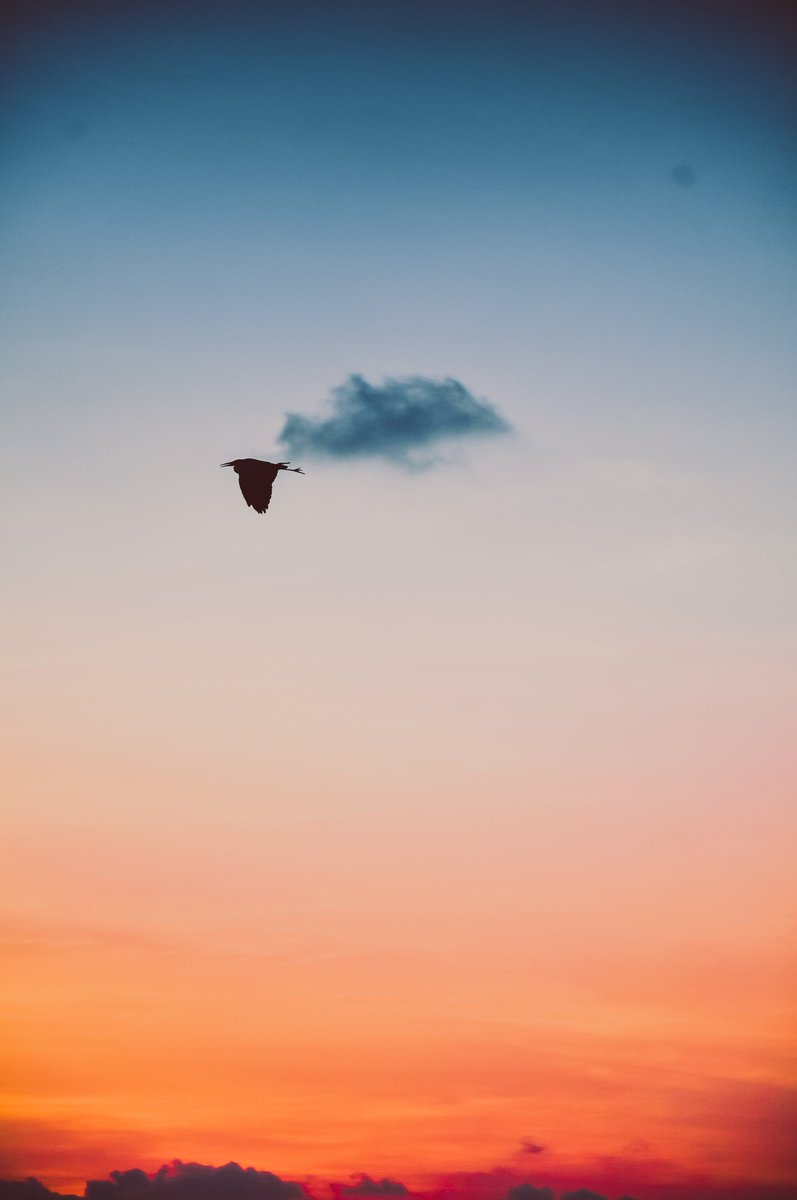 Sunset - HD Wallpaper 