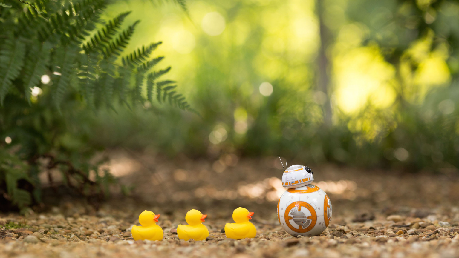 Bb-8 - HD Wallpaper 