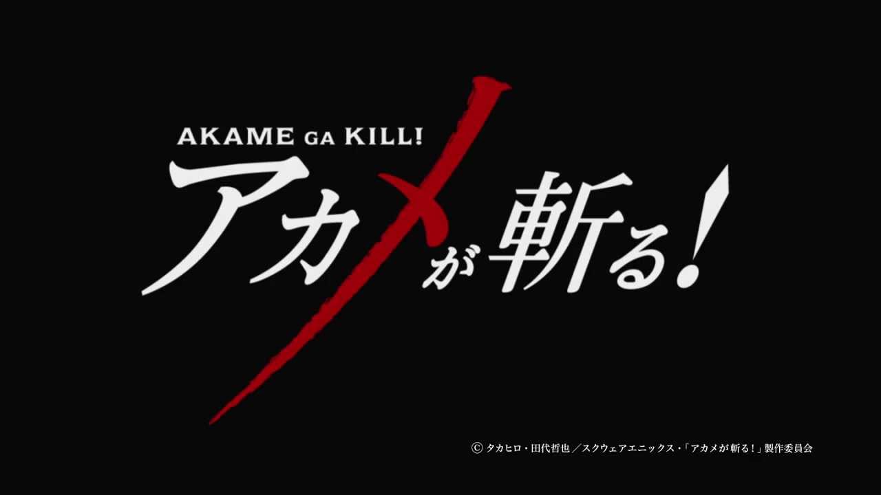 Akame Ga Kill Logo Png - HD Wallpaper 