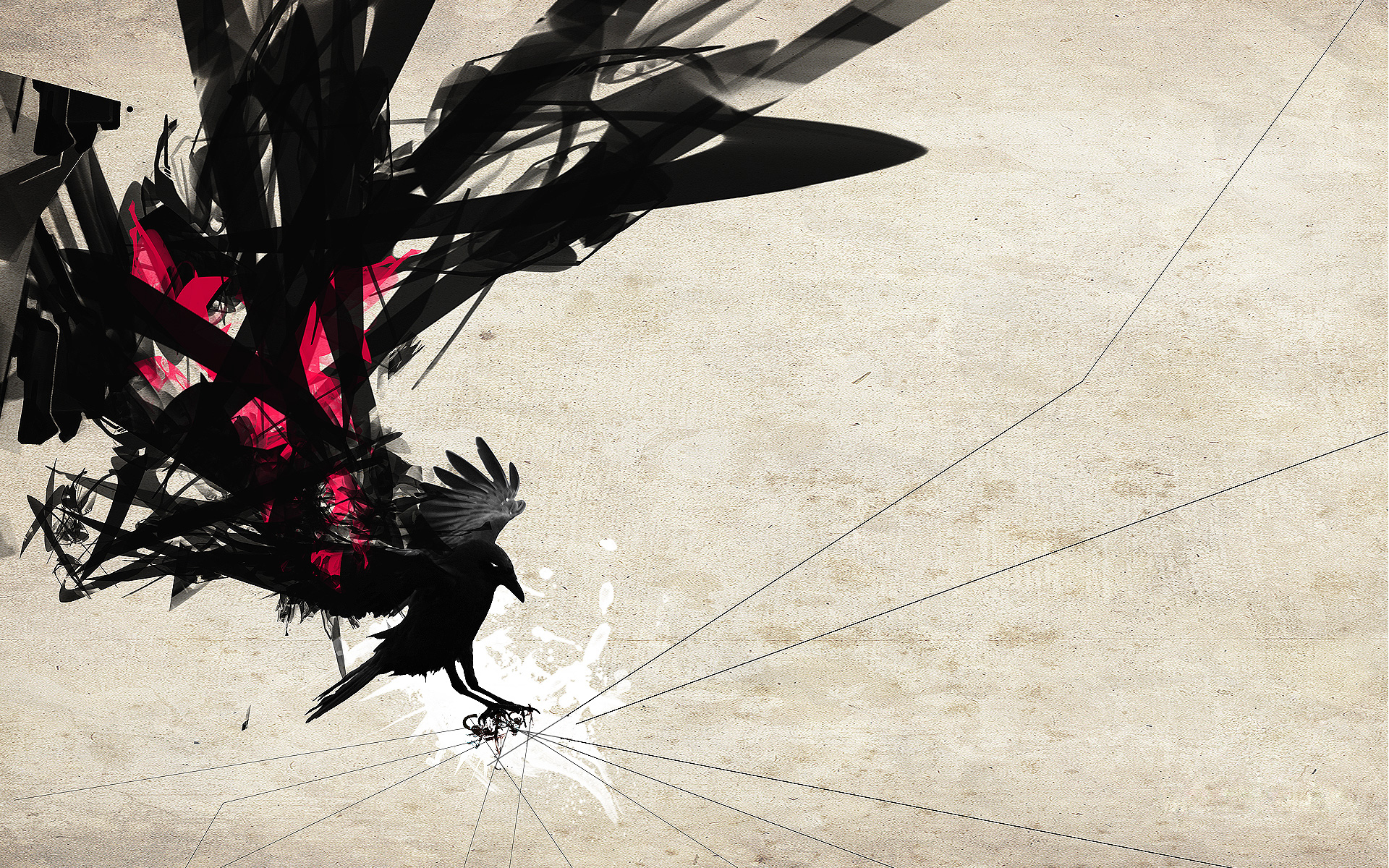 Raven Wallpaper - HD Wallpaper 