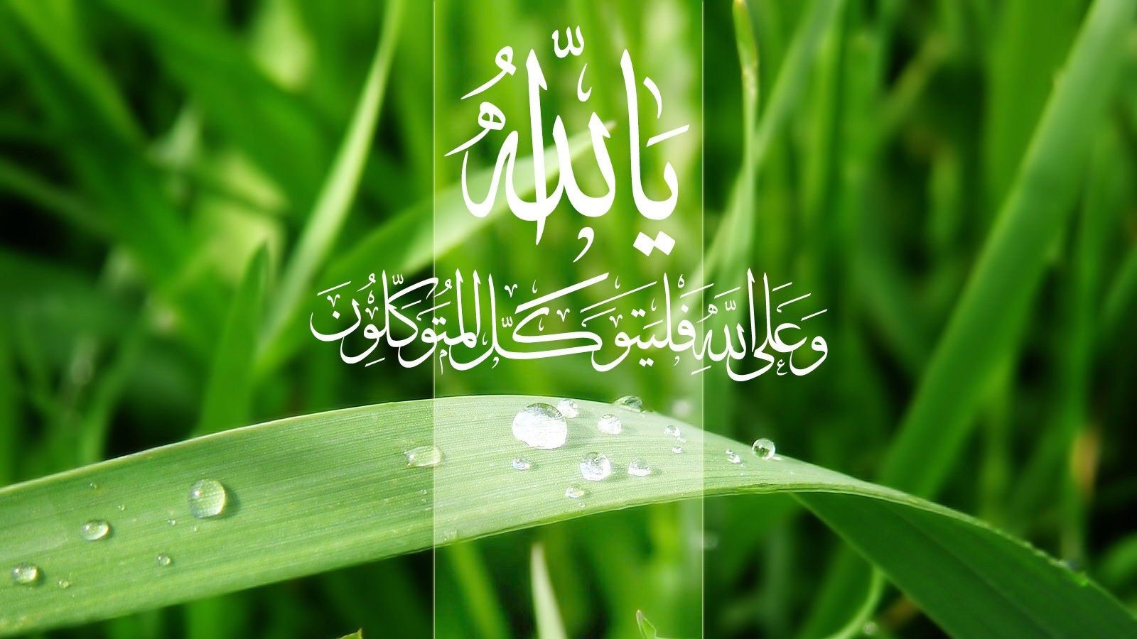 Asma Allah - HD Wallpaper 