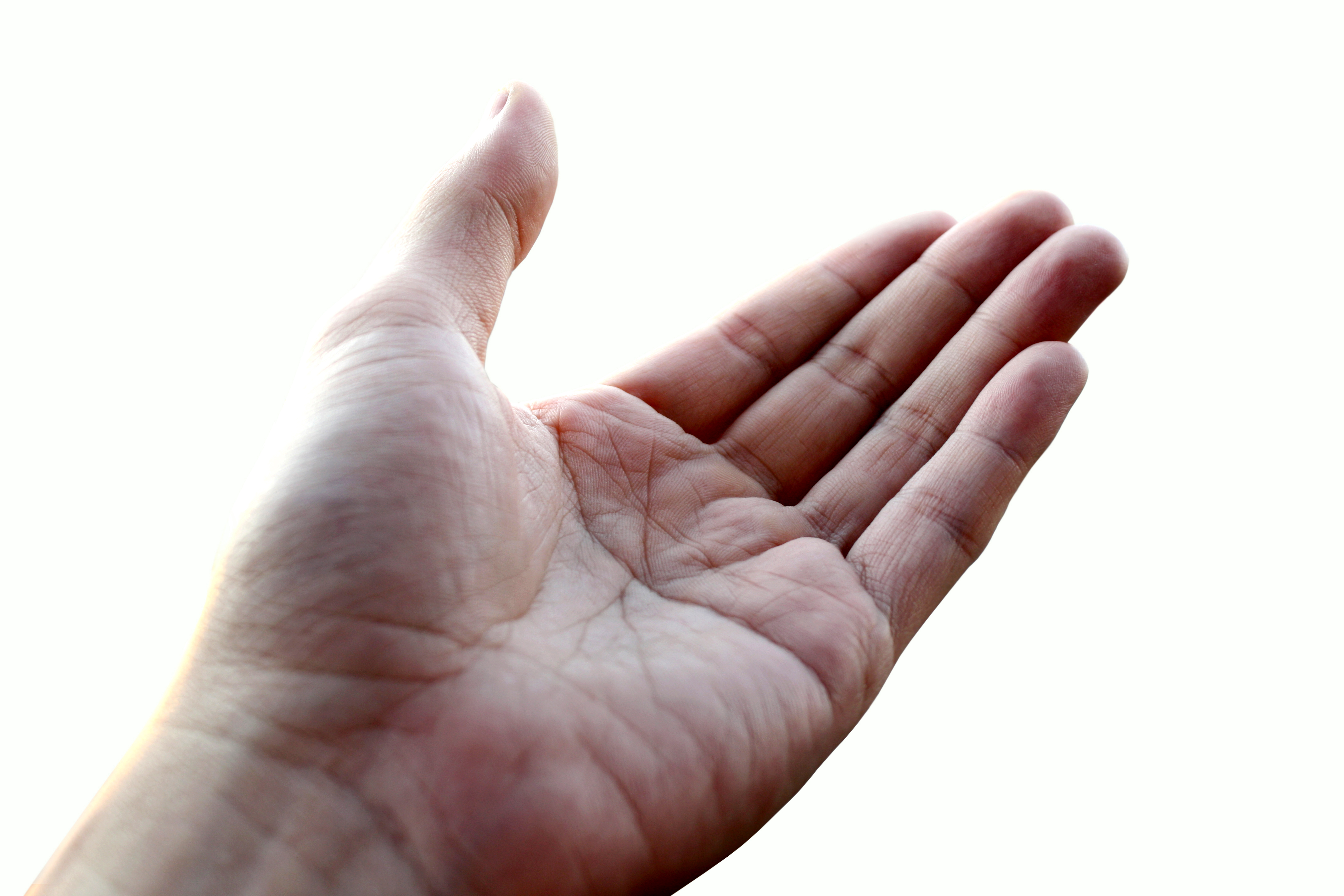 Hand - HD Wallpaper 