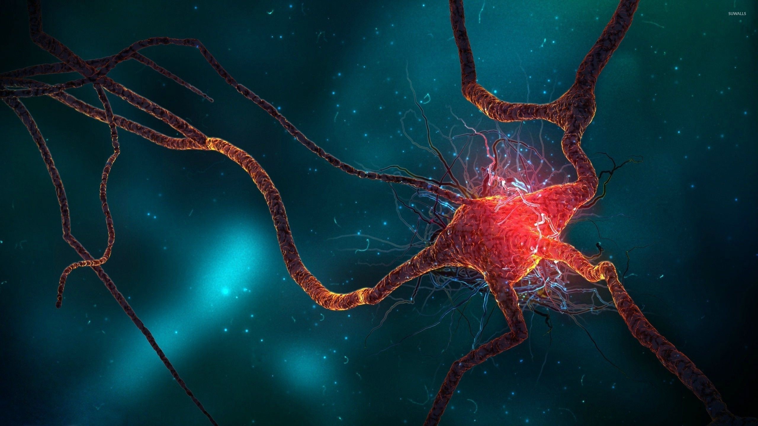 2560x1440, Brain Cell Wallpaper 
 Data Id 44642 
 Data - 4k Wallpaper Brain - HD Wallpaper 