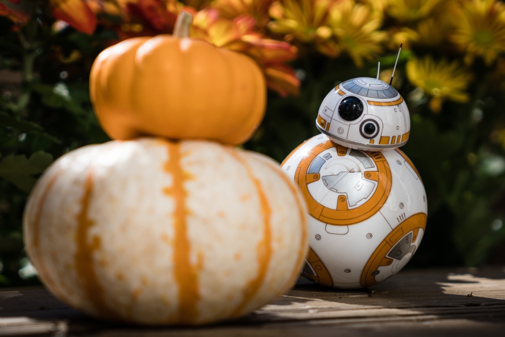 Pumpkins, Star Wars Bb8, Vegetables - Cool Star Wars Halloween - HD Wallpaper 