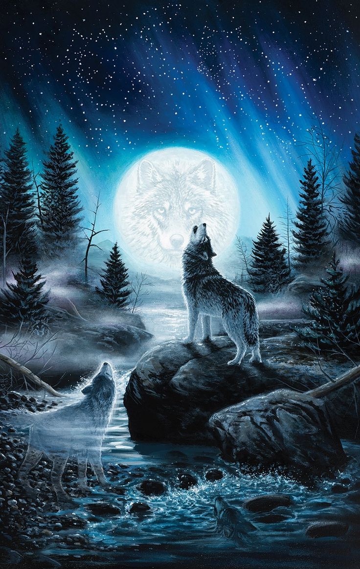 Howling Wolf Wallpaper Iphone - Wolf Wallpaper Iphone - HD Wallpaper 