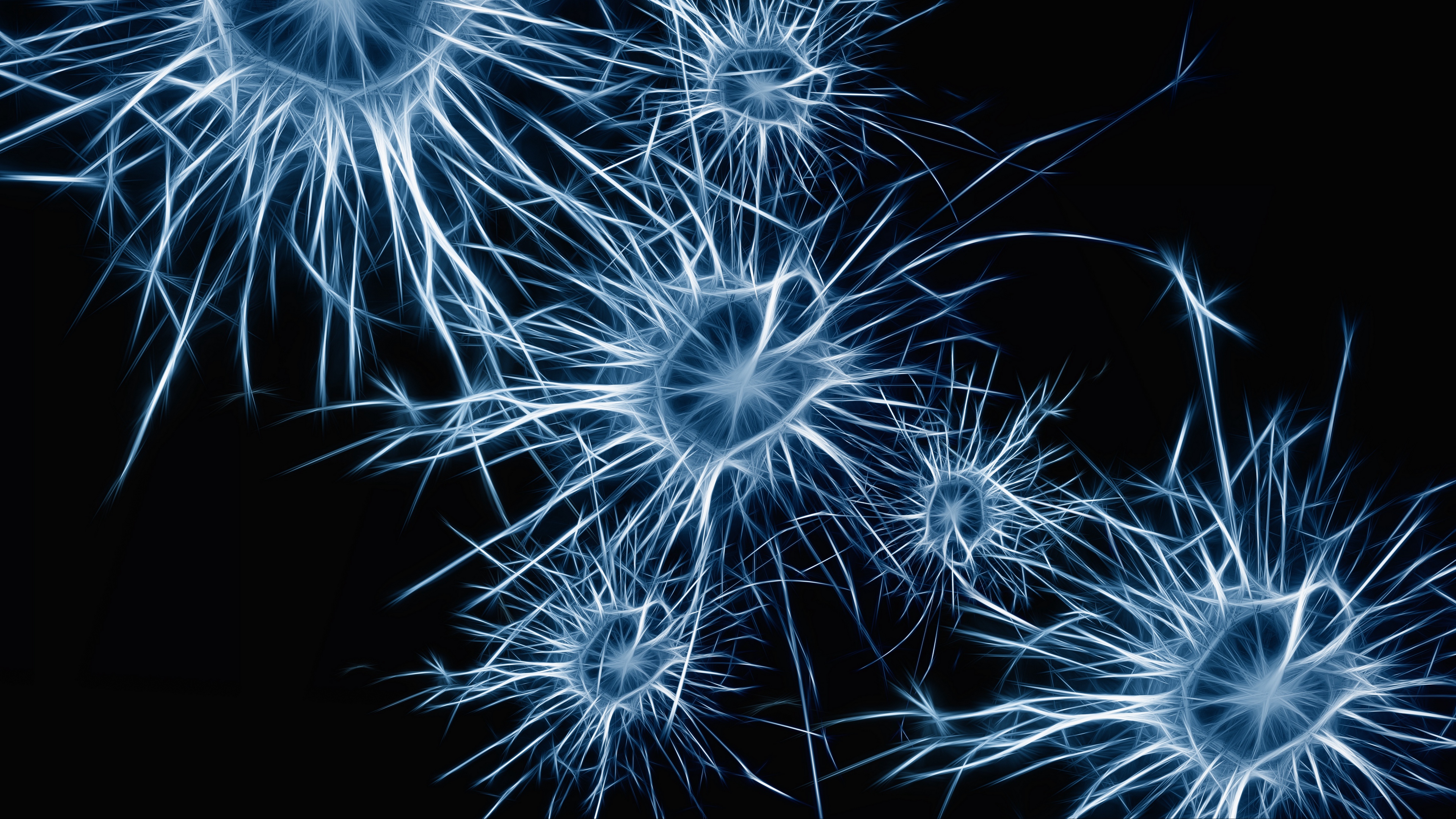 Wallpaper Neurons, Cell, Structure - Neurons Wallpaper 4k - HD Wallpaper 