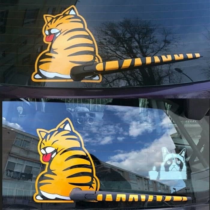 Kucing Belakang Kaca Mobil - HD Wallpaper 