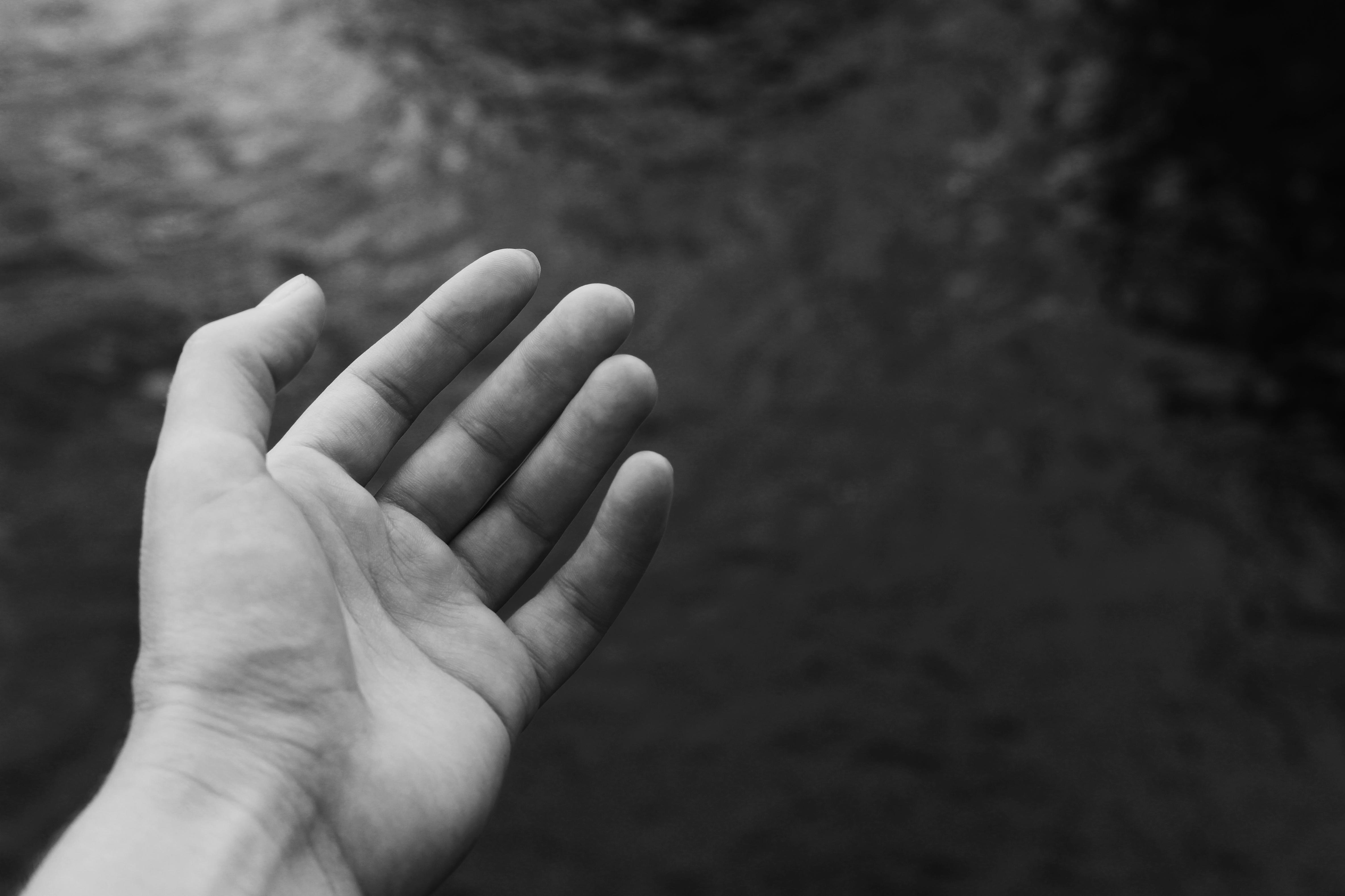 Hand, Palm, Bw, Fingers - Bw Hd Hand - HD Wallpaper 