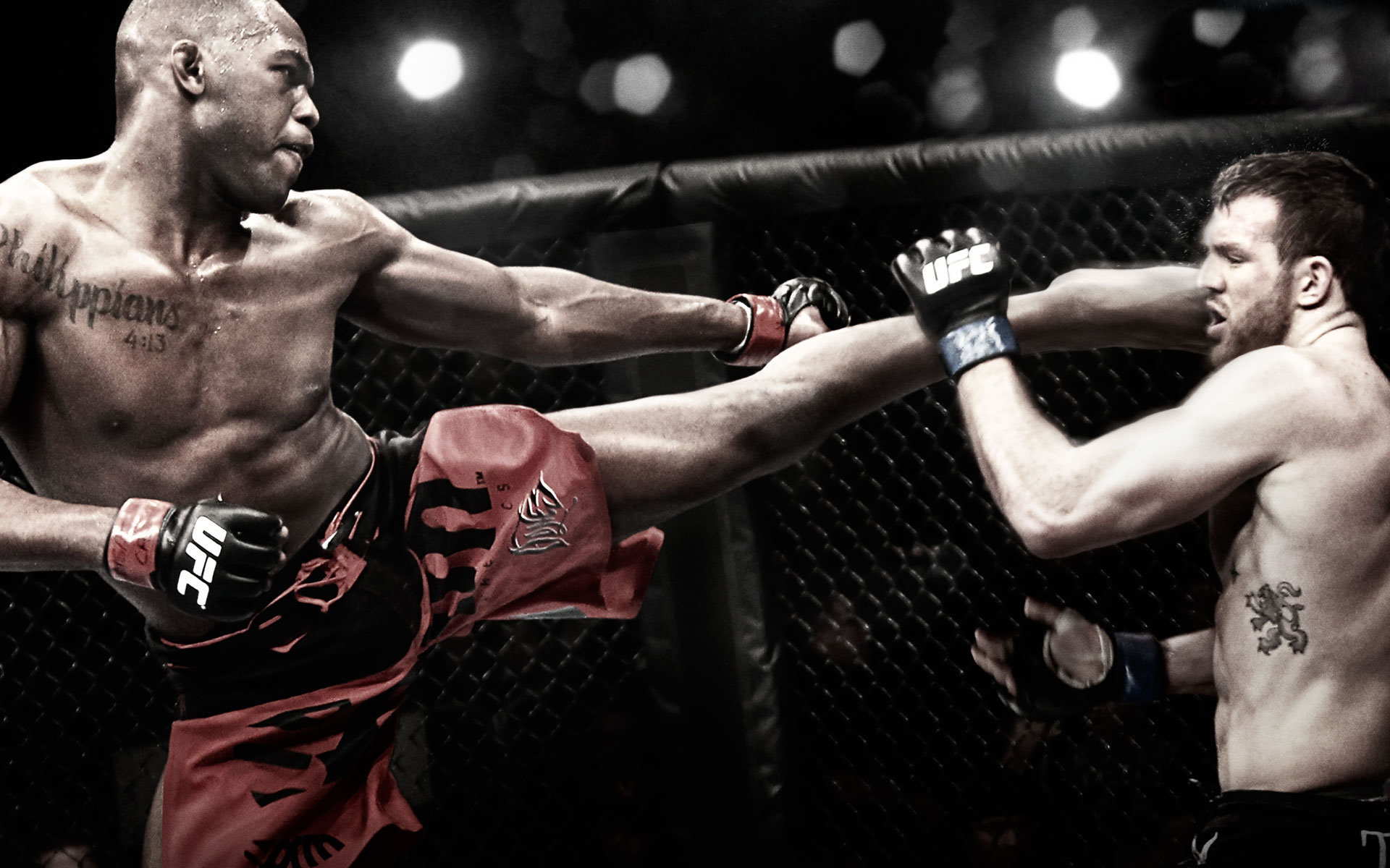 Ufc Wallpaper - HD Wallpaper 