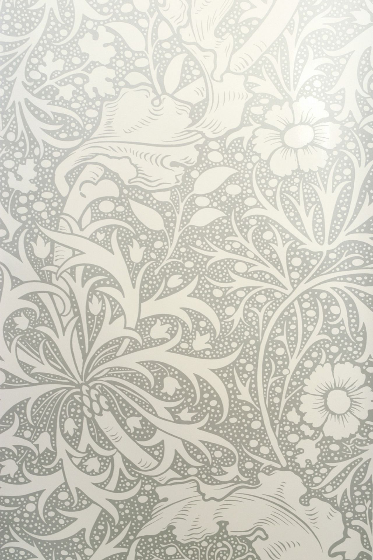 Kabloom - Wallpaper - HD Wallpaper 