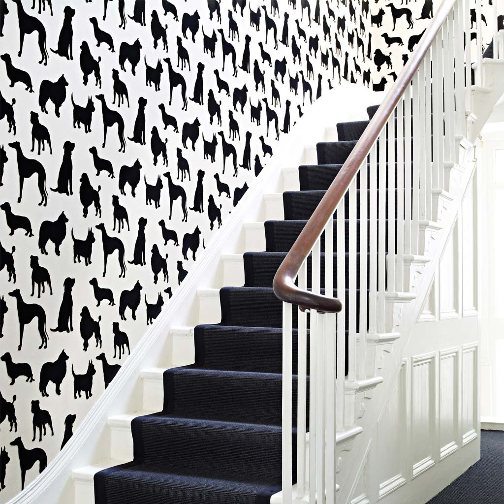 Ieol-best In Show Flock - Osborne And Little Best In Show - HD Wallpaper 