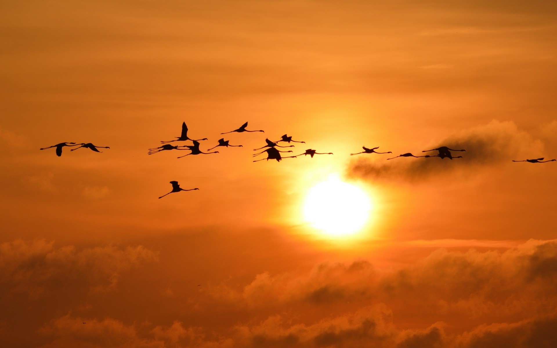 Featured image of post Sun And Sky Wallpaper Full Hd 6674 views 14049 downloads