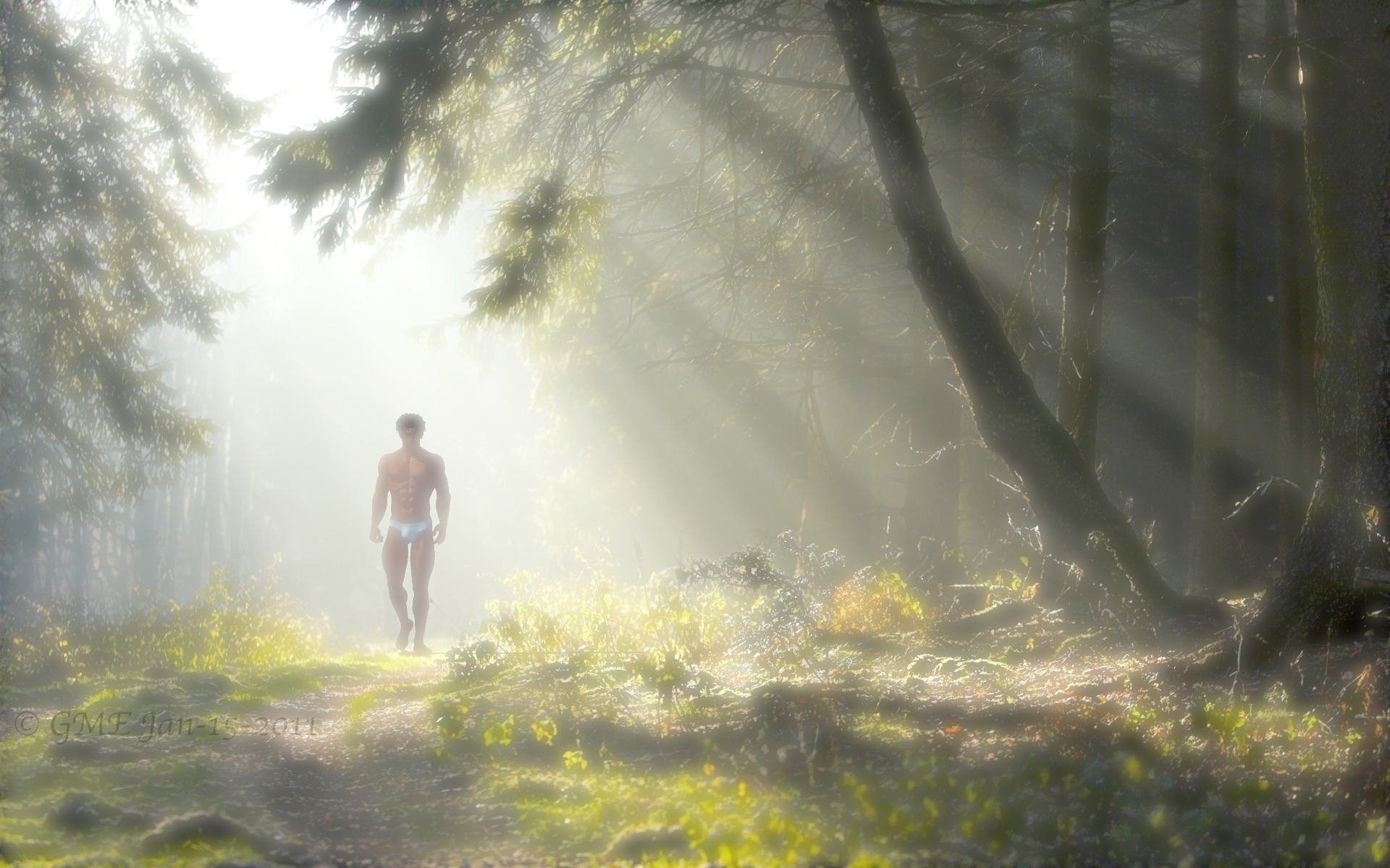Walking Alone In The Forest - HD Wallpaper 