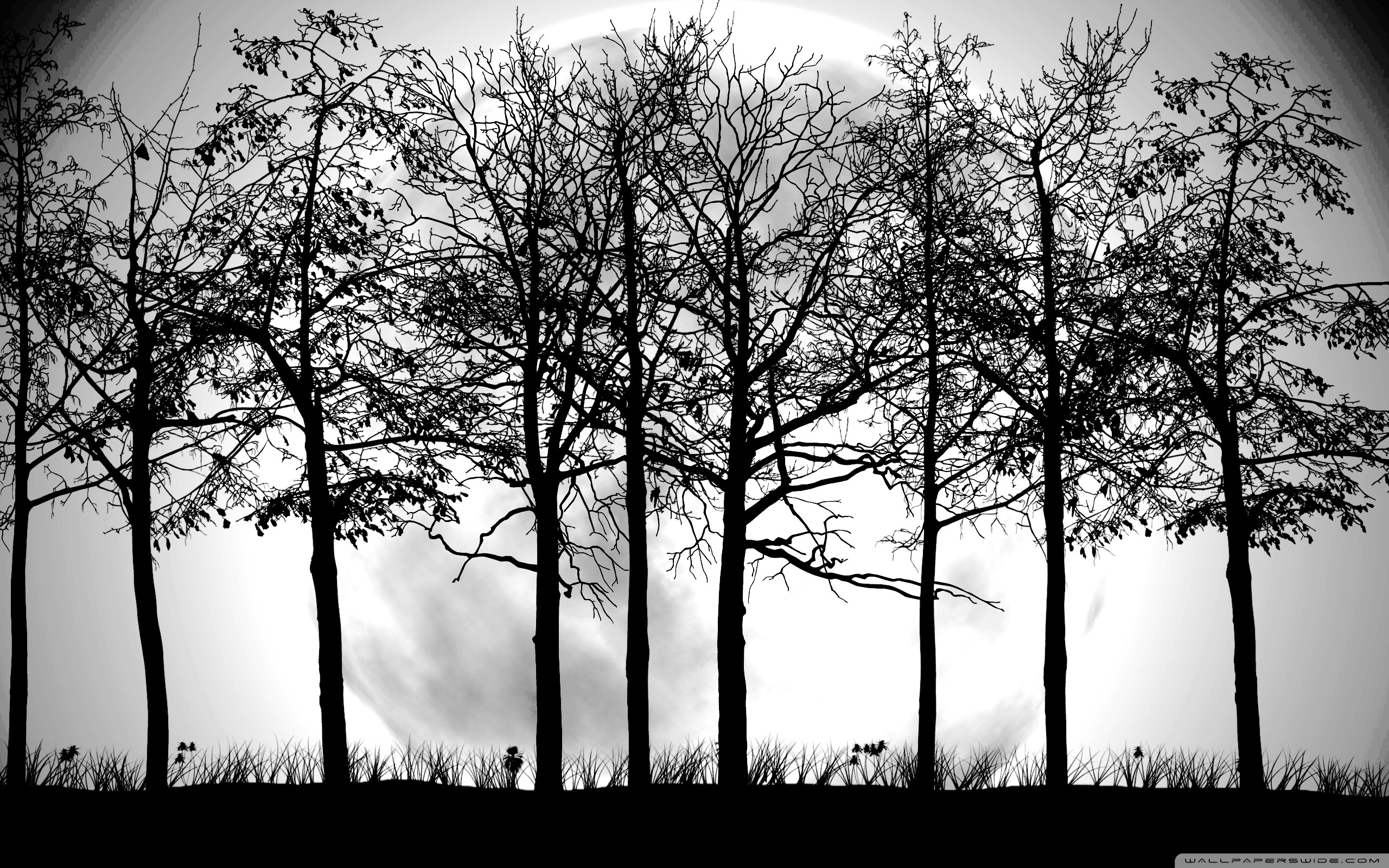 Tree Silhouette - HD Wallpaper 