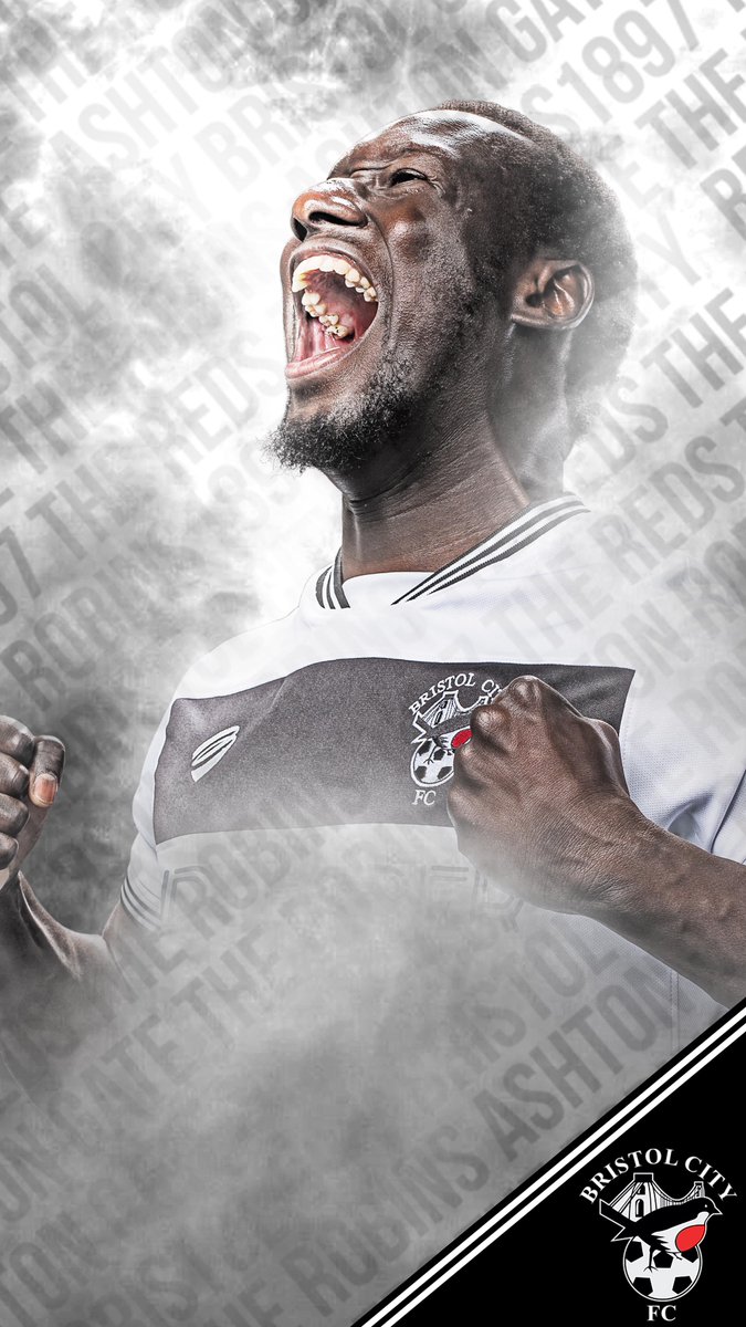 Monkey - HD Wallpaper 