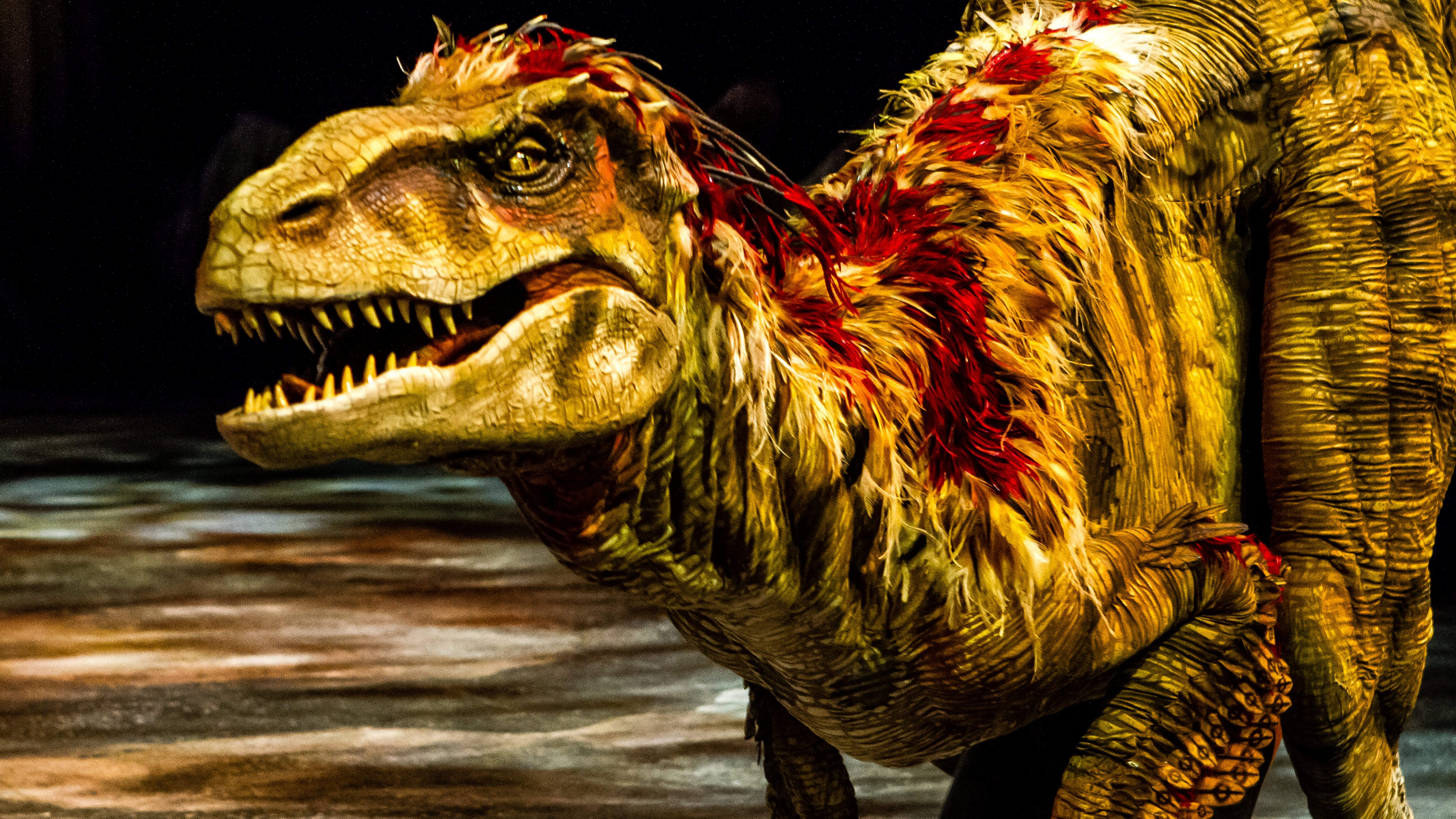 Dinosaur Wallpaper Hd - HD Wallpaper 
