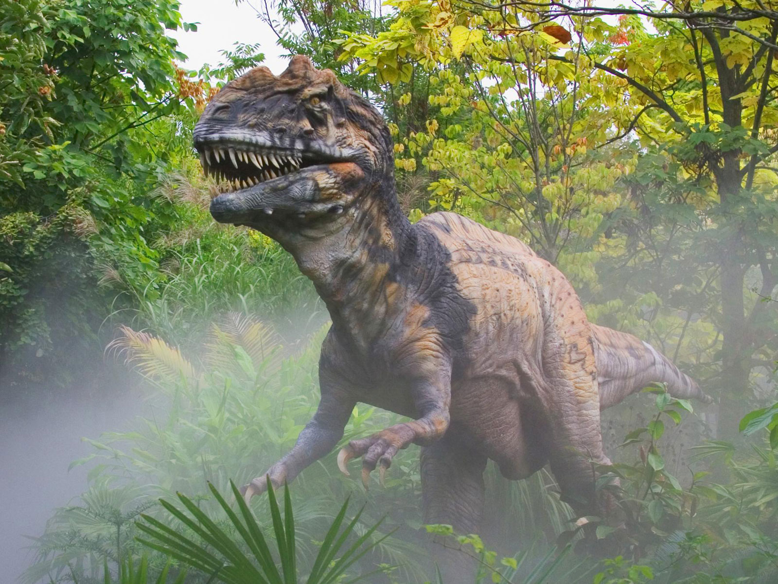 Dinosaurs Hd Wallpapers And Facts - Jurassic Hippo - HD Wallpaper 