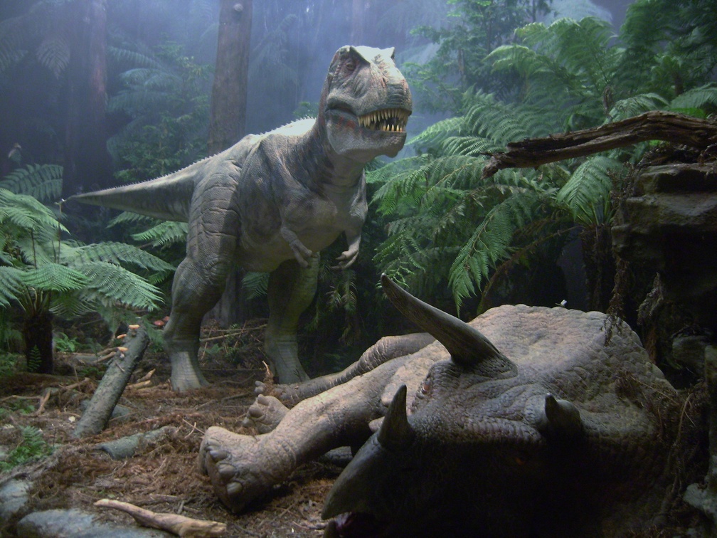 Large Dinosaurs Background - HD Wallpaper 