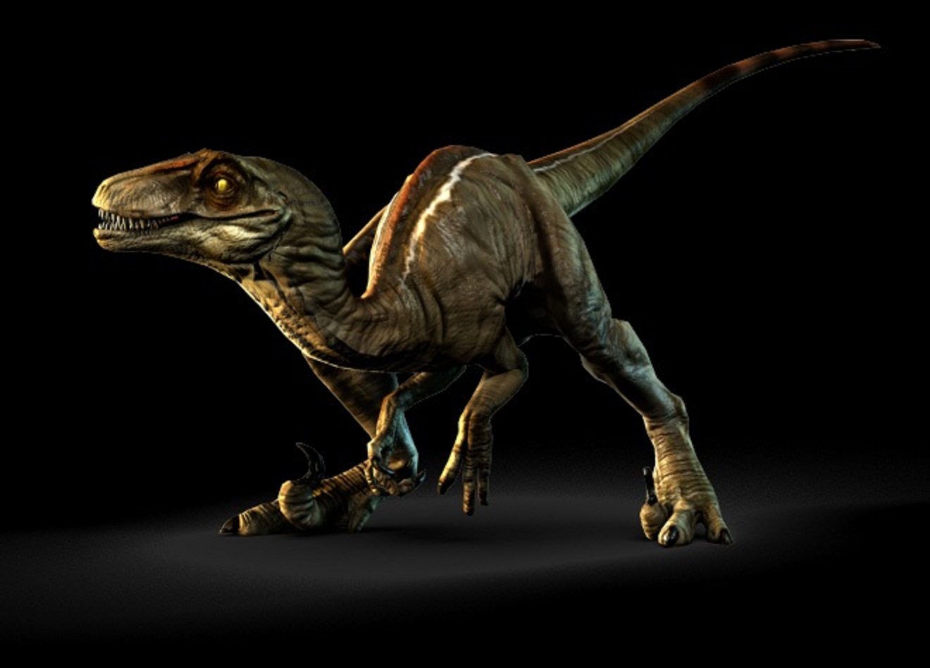 Dinosaur Wallpapers - Dinos Do Primal Carnage - HD Wallpaper 