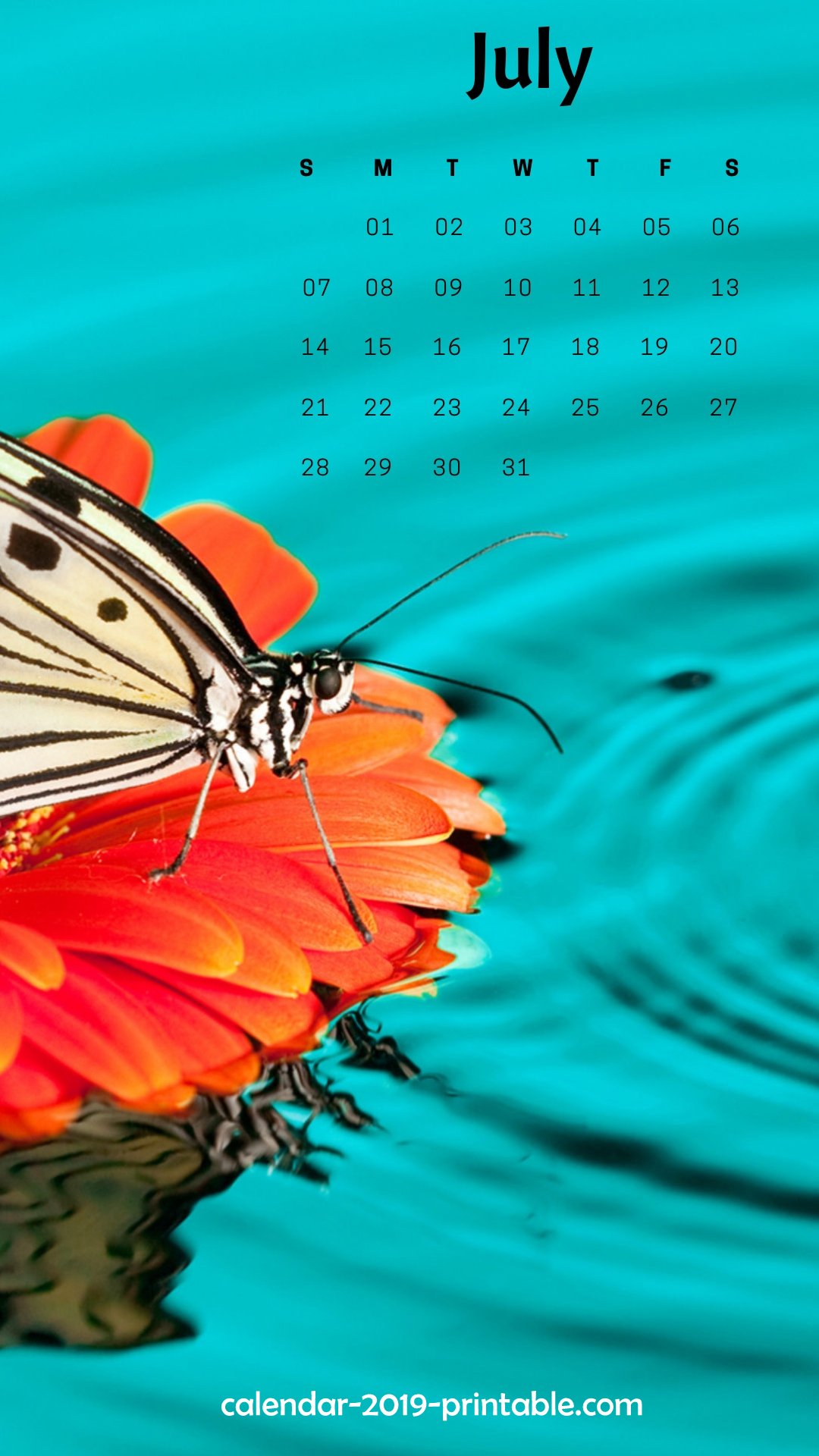 July 2019 Iphone Calendar Wallpaper - HD Wallpaper 