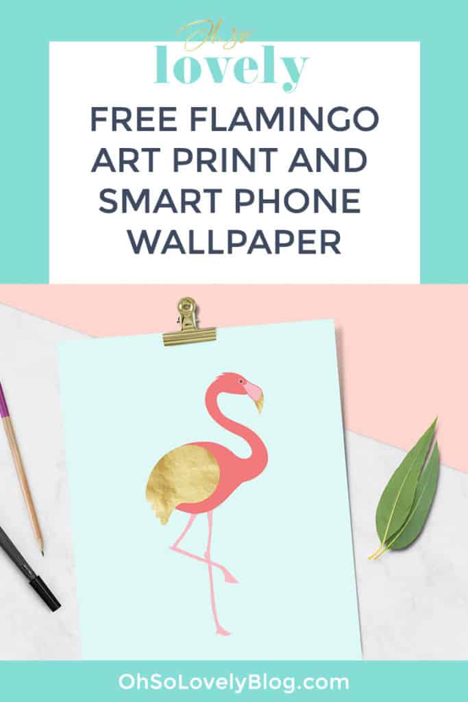 Golden Wing Flamingo Freebies - Greater Flamingo - HD Wallpaper 