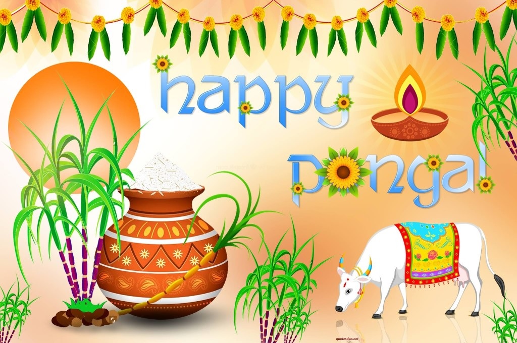 Happy Pongal Hd Wallpapers - Happy Pongal 2019 Images Hd - 1024x680  Wallpaper 