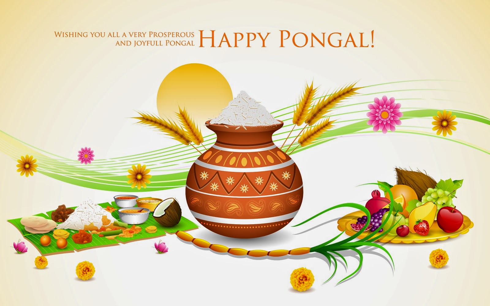 Pongal Hd Images Pictures Wallpapers Photos Pics For - Happy Thai Pongal  Wishes - 1600x1000 Wallpaper 