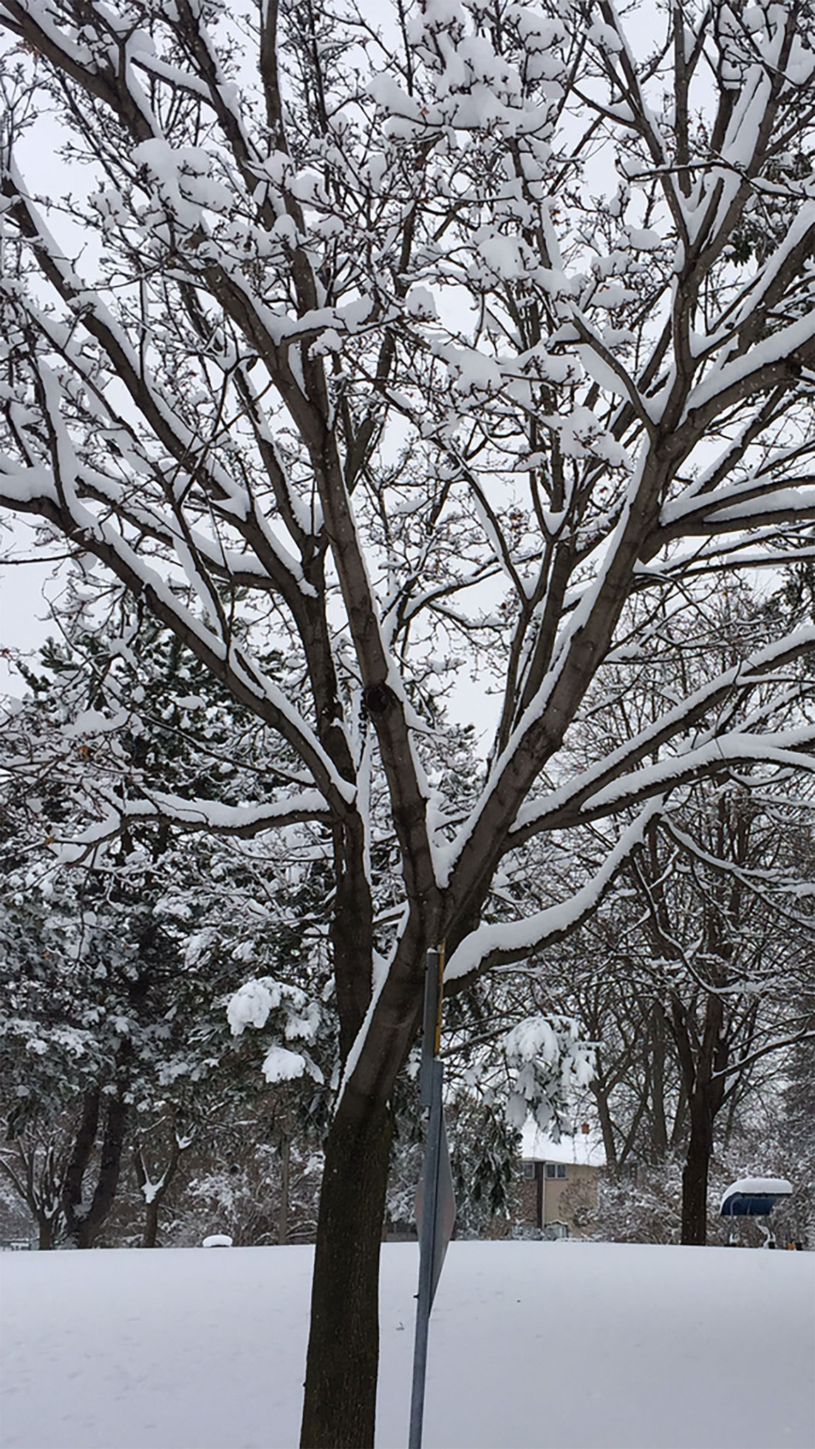 S Favorite Holiday Wallpapers For Iphone And Ipad - Holidays Wallpaper Iphone - HD Wallpaper 