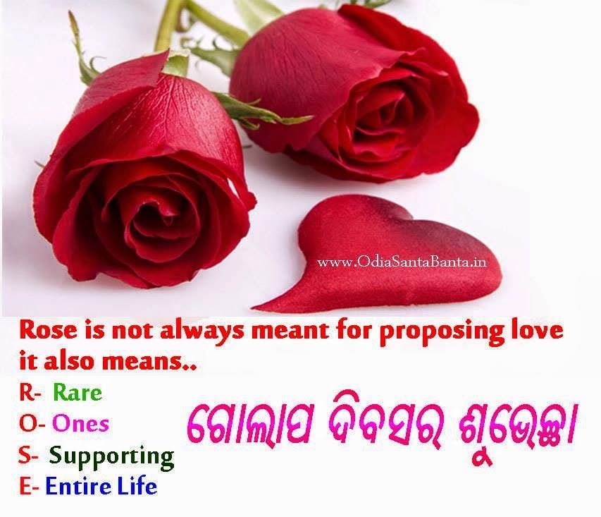 Rose Day Images 2019 - HD Wallpaper 