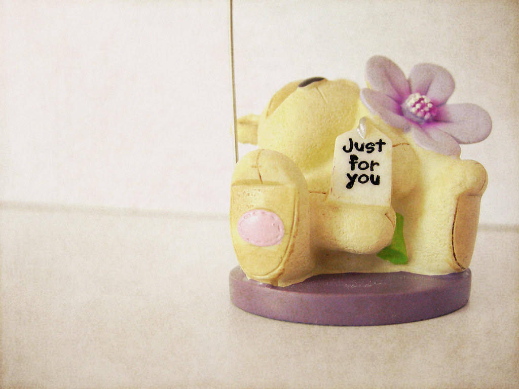 Moth Orchid - HD Wallpaper 