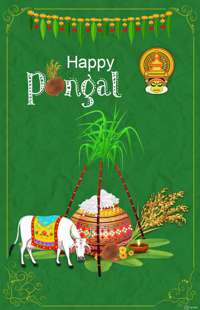 Happy Makar Sankranti Greetings - Happy Pongal Wishes 2020 - HD Wallpaper 