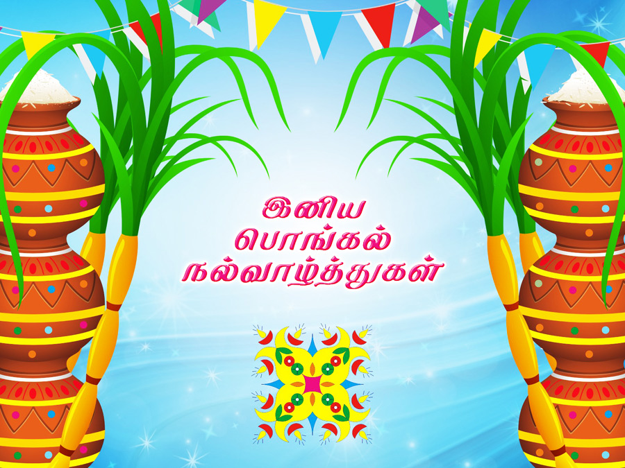 Pongal Festival Images Wallpapers - இனிய தைத்திருநாள் வாழ்த்துக்கள் - HD Wallpaper 