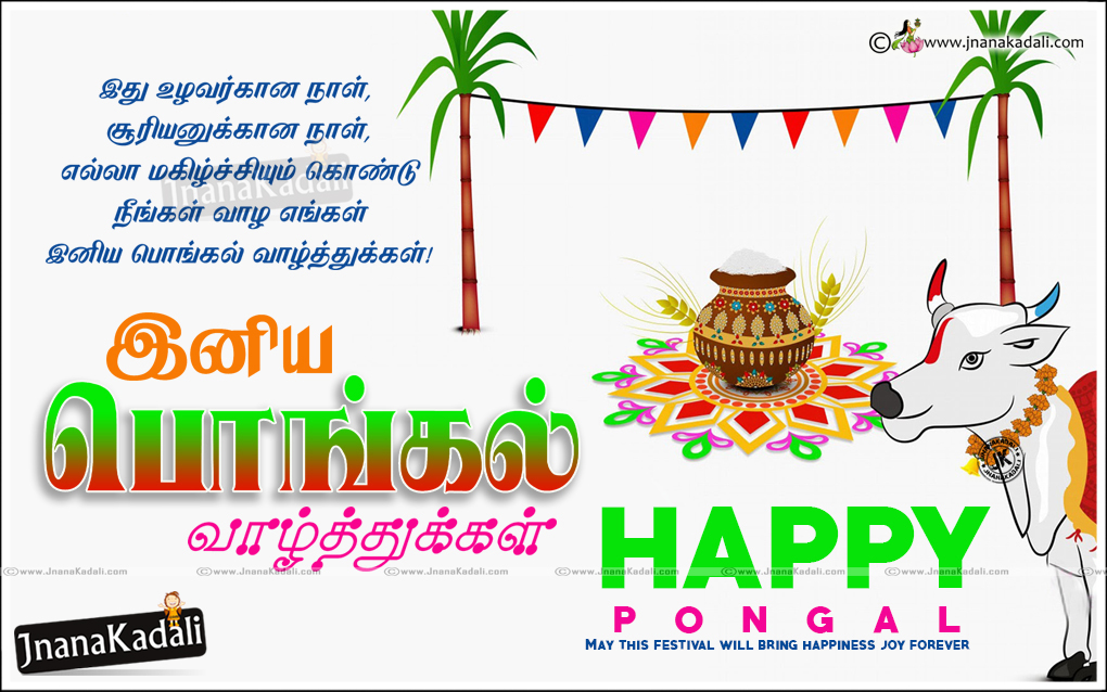 Tamil Pongal Valthukkal, Tamil Pongal Hd Wallpapers, - 1020x638 Wallpaper -  