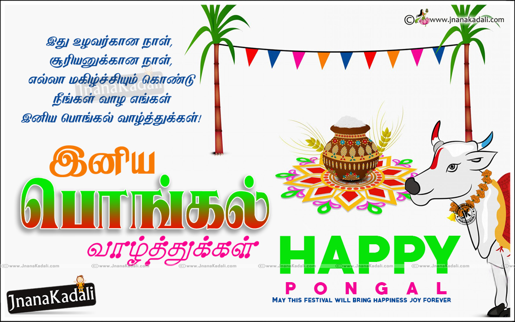 Tamil Pongal Valthukkal, Tamil Pongal Hd Wallpapers, - HD Wallpaper 