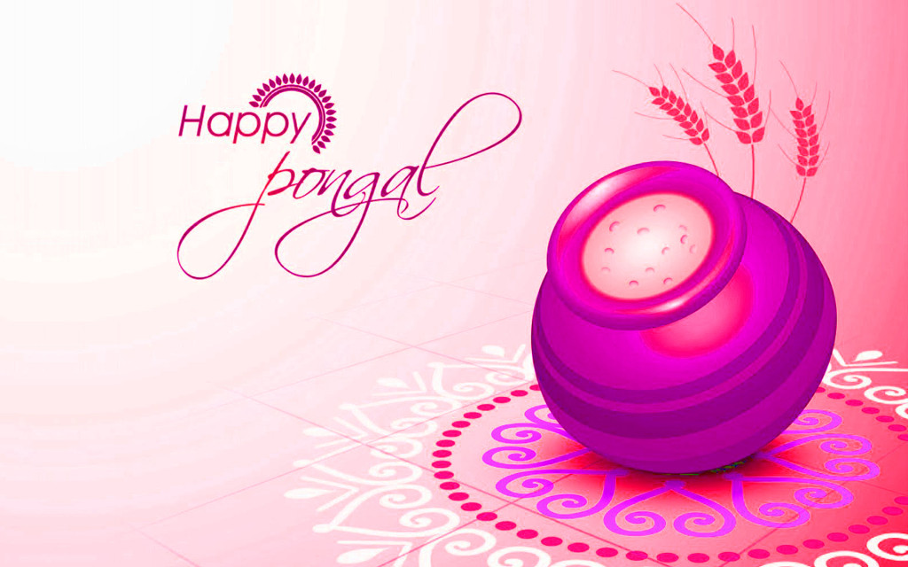 Happy Pongal Greetings Wishes Messages Images Pictures - Pongal Wishes In Hd - HD Wallpaper 