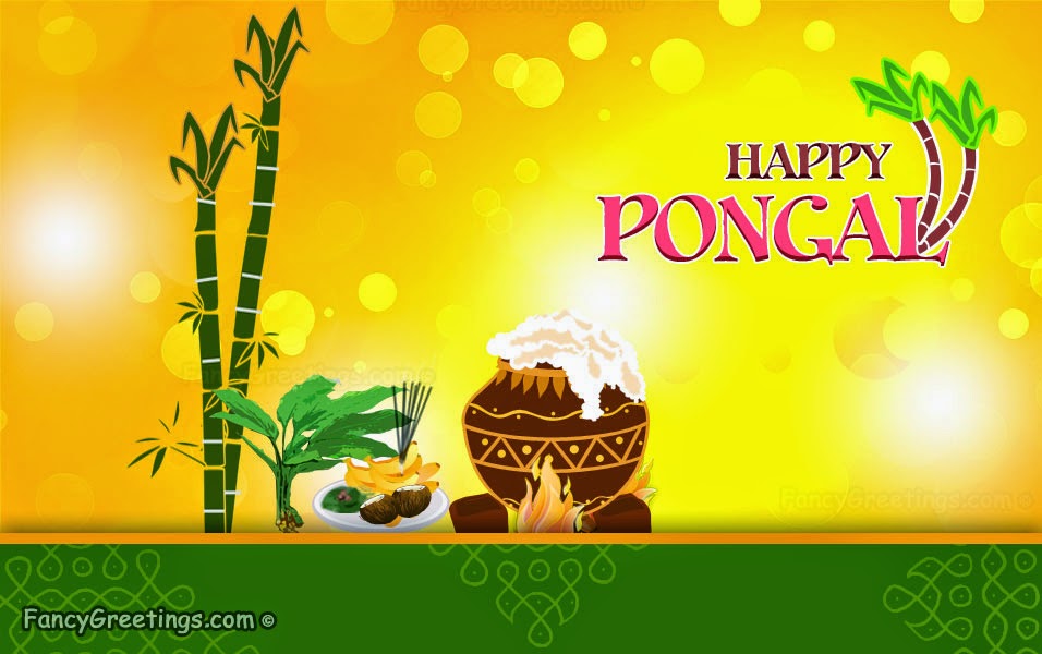 Sankranti Wishes In English - HD Wallpaper 