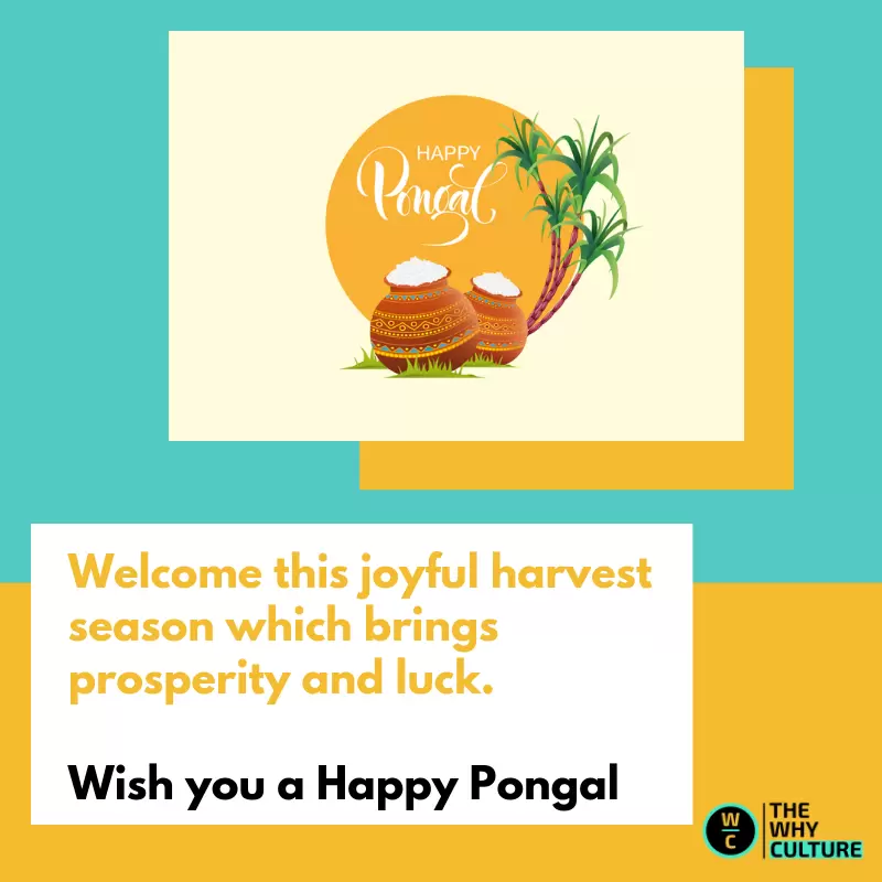 Pongal 2019 Quotes - HD Wallpaper 