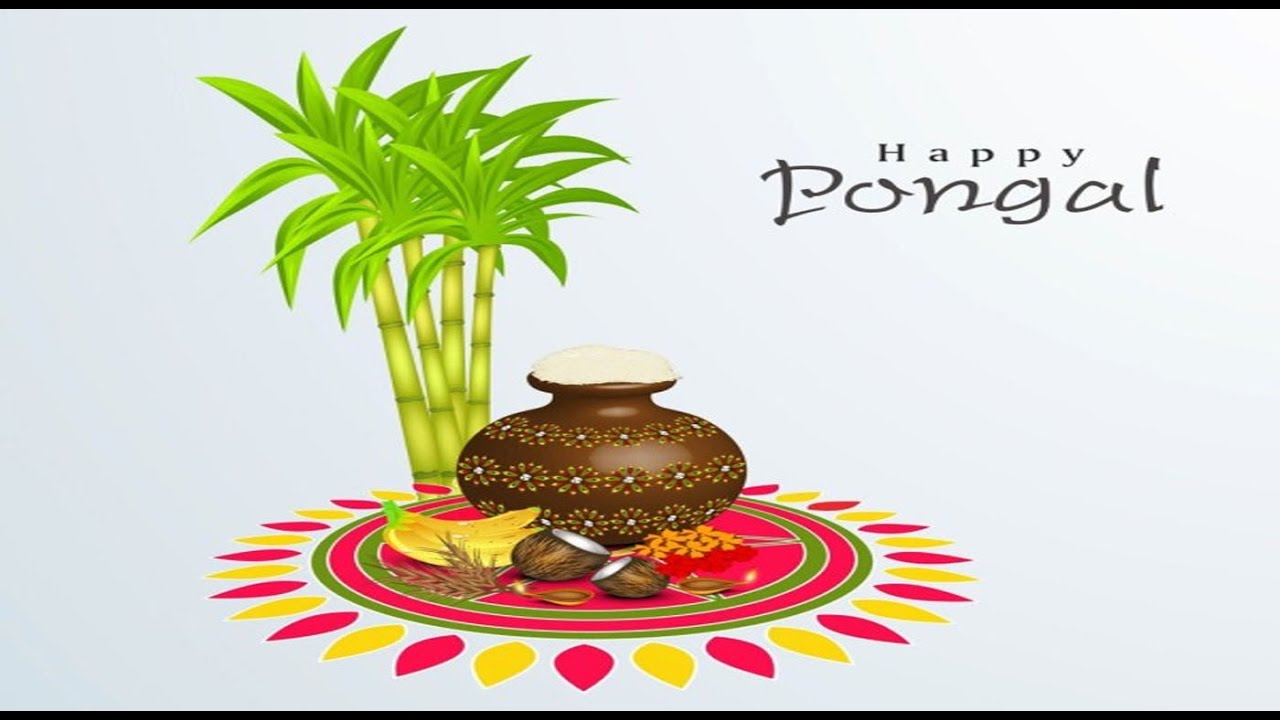 Happy Pongal 2019 Wishes Wallpaper - Pongal - HD Wallpaper 