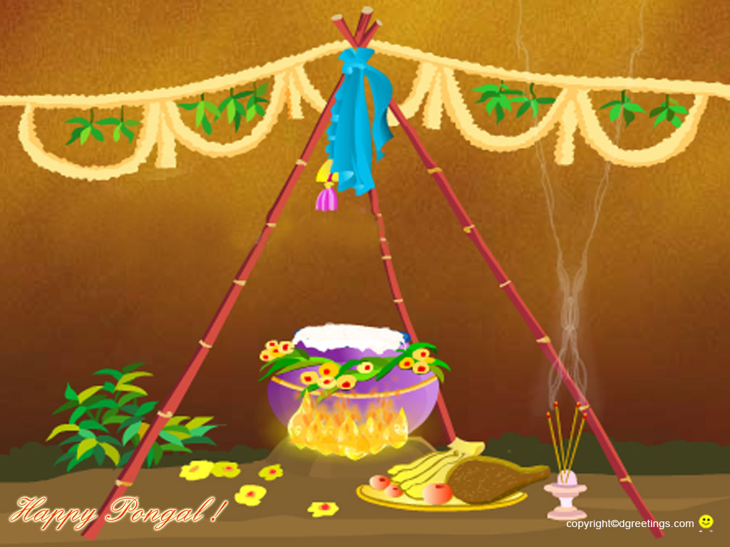 Pongal Wallpaper - Pongal Celebrations At Home - HD Wallpaper 